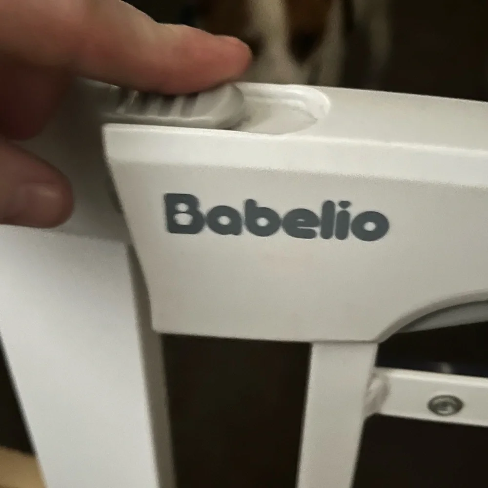 Babelio Acrylic Extra wide walk thru gate